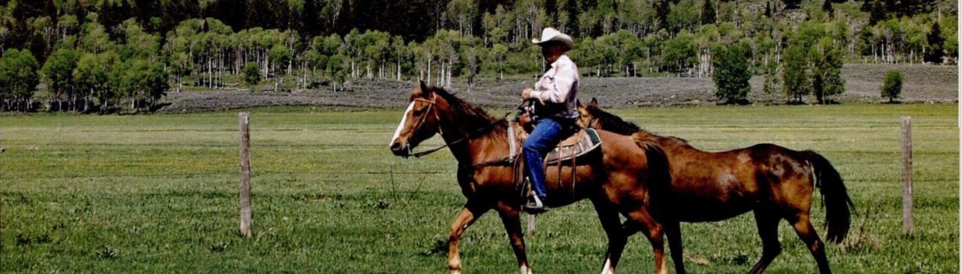 Person riding a horse in a grassy field with forest background.