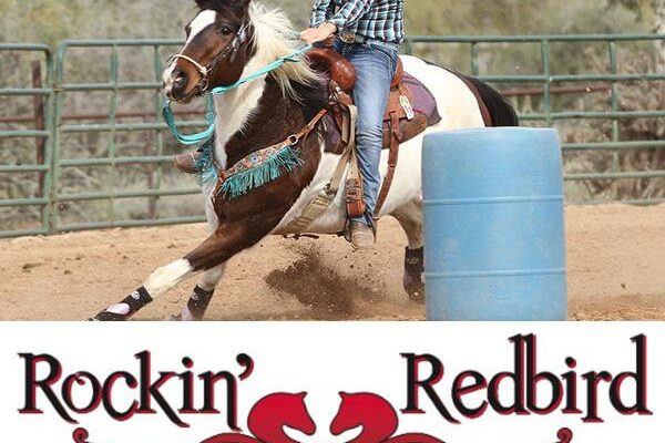 A rider on a horse navigating a barrel in a gymkhana event.