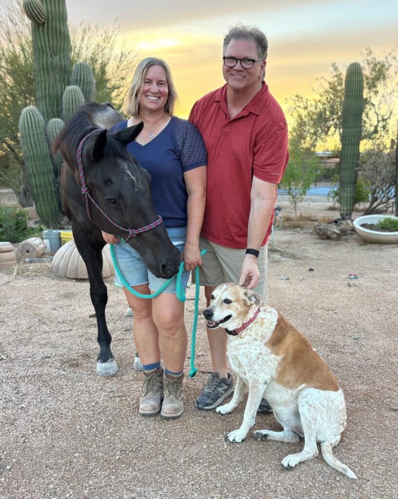 black horse, woman, man, brown and white dog photo